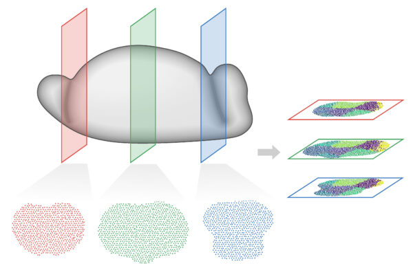 Multi-slice spatial genomics data